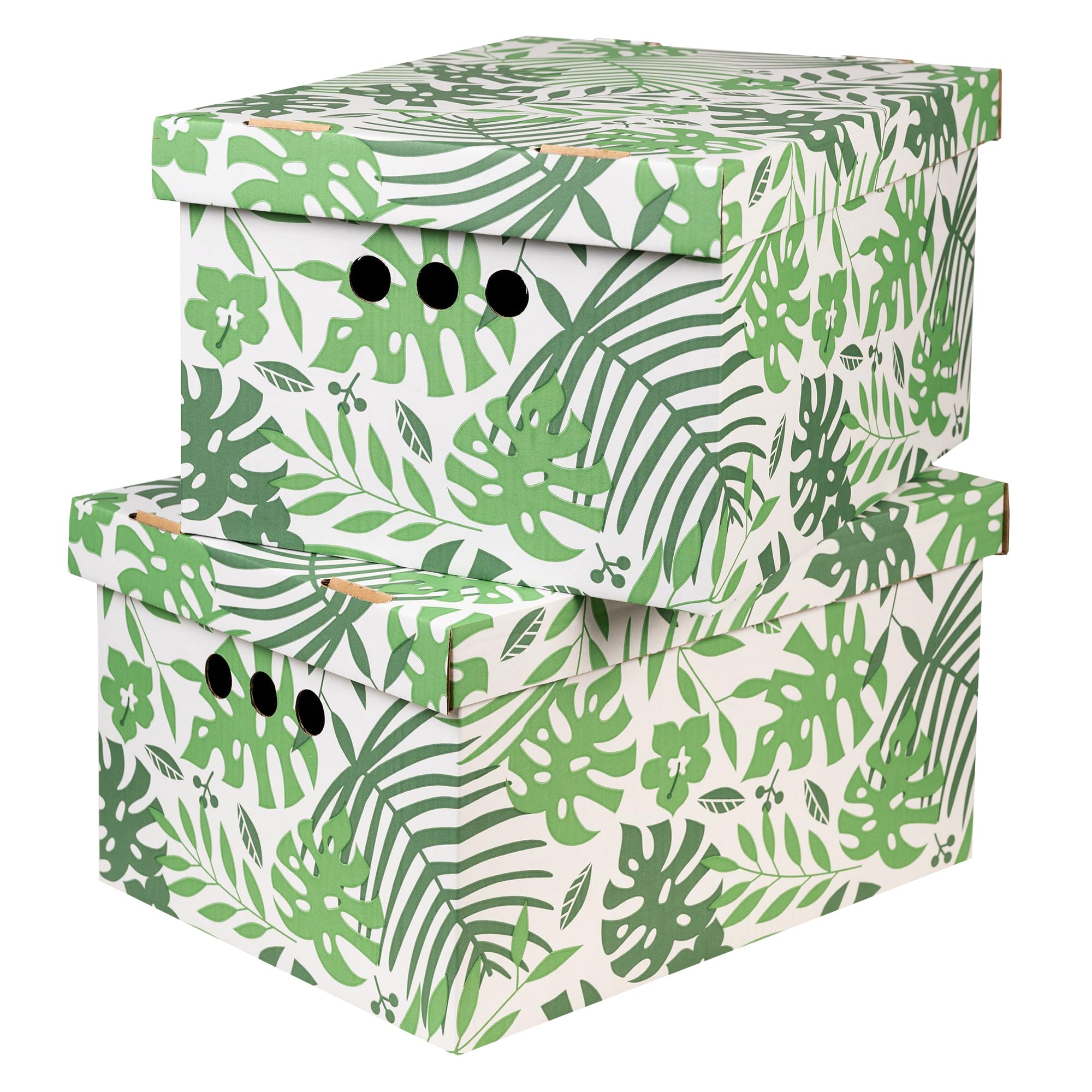 SOFTILLO Cardboard Storage Boxes with Lid Decorative Wardrobe, Closet, Home & Office Organiser with Handle Flat-Packed, Stackable File Box Gift for Adults & Kids Set of 2 Large Tropical Leaves — image 1