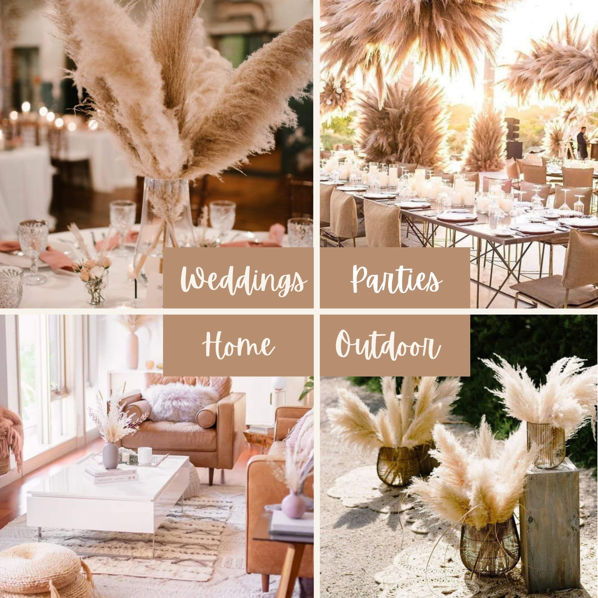 31Mod Pampas Grass Large with Tall Stems—3 Stems Large Pampas Grass (48