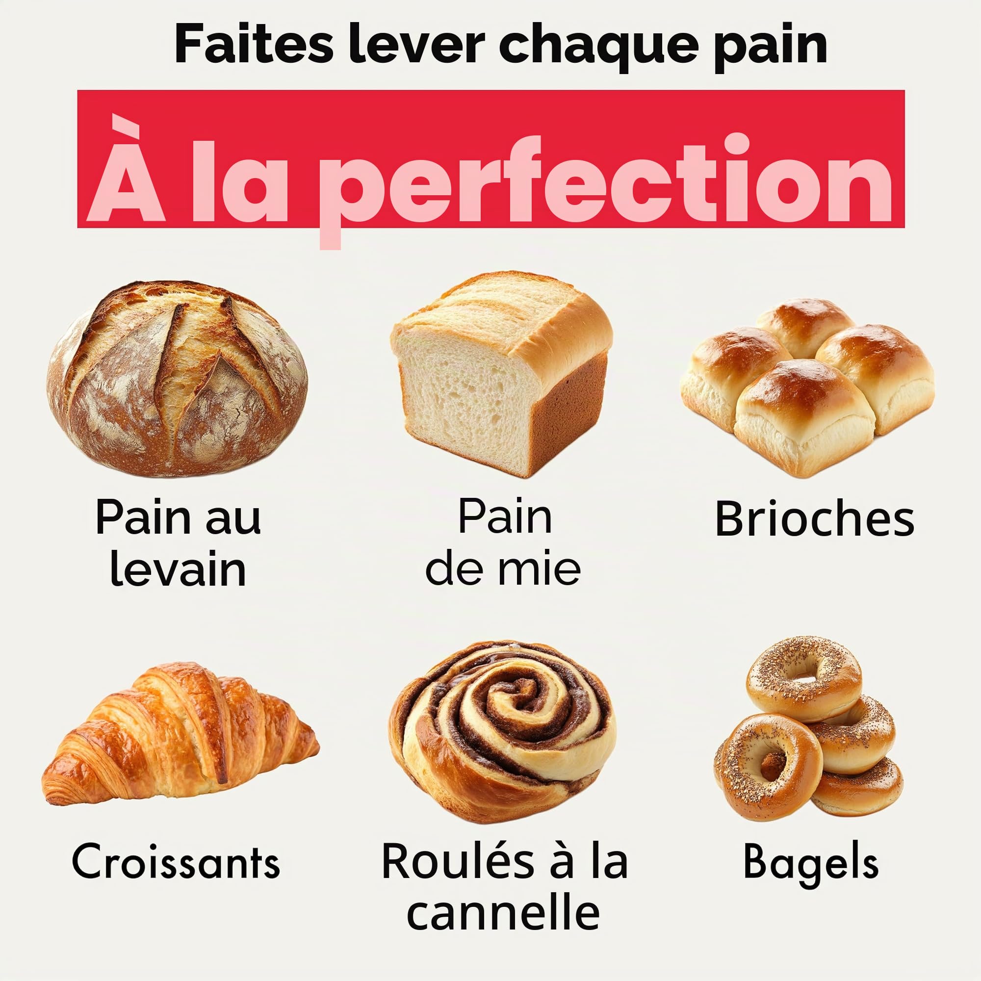 Brod and Taylor Chambre de Pousse Pliable Fermentation Maîtrisée du Pain Levain et Yaourts Température Homogène et Précise pour Boulangerie Maison