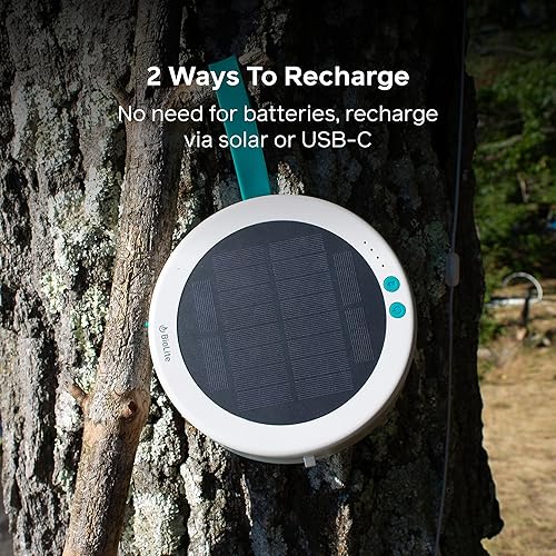 Miniatura 4 de BioLite Cadena solar recargable, luces solares para campamento, patio y viajes, 44 pies, color