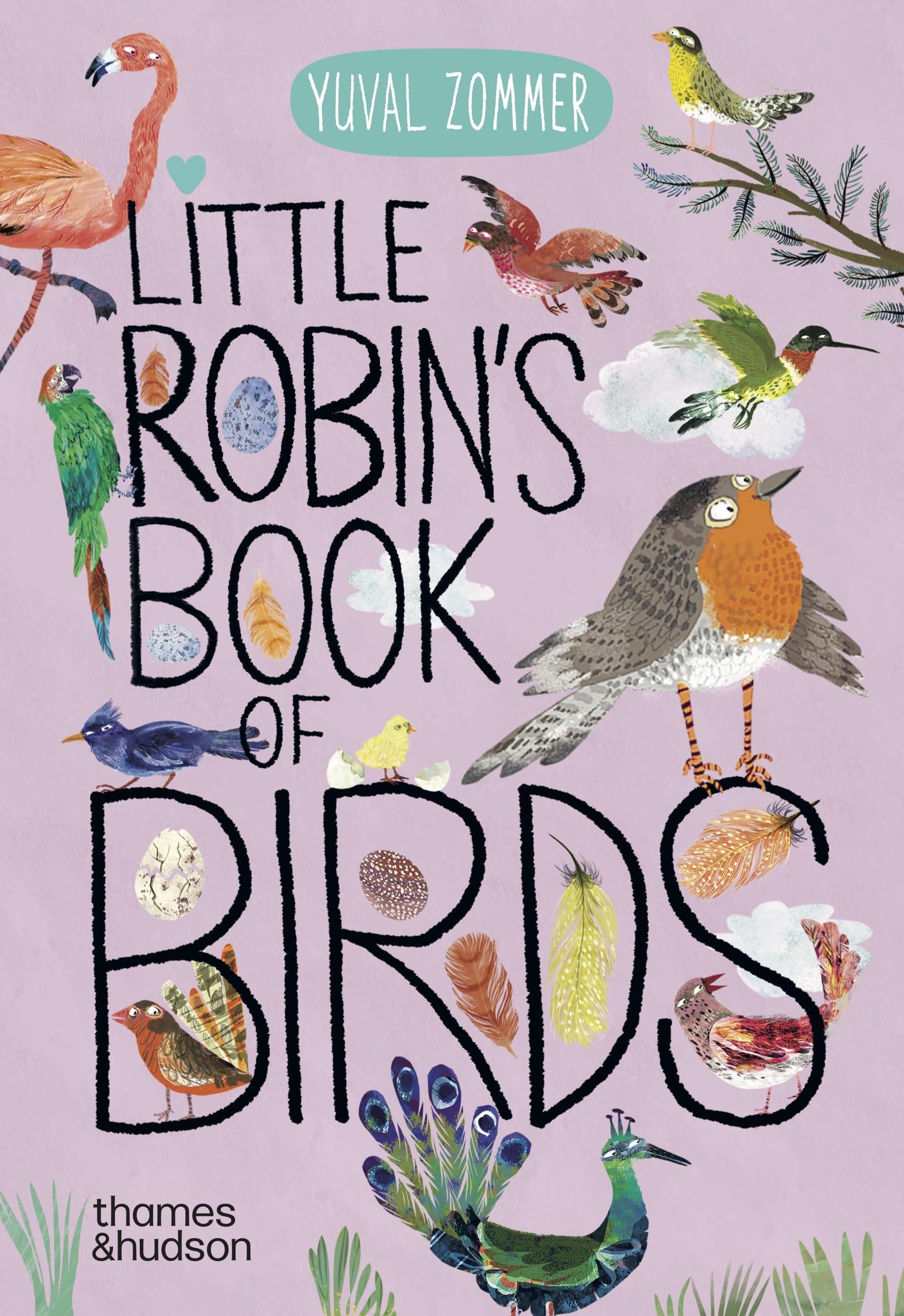 Little Robin's Book of Birds: 16 (The Big Book series)