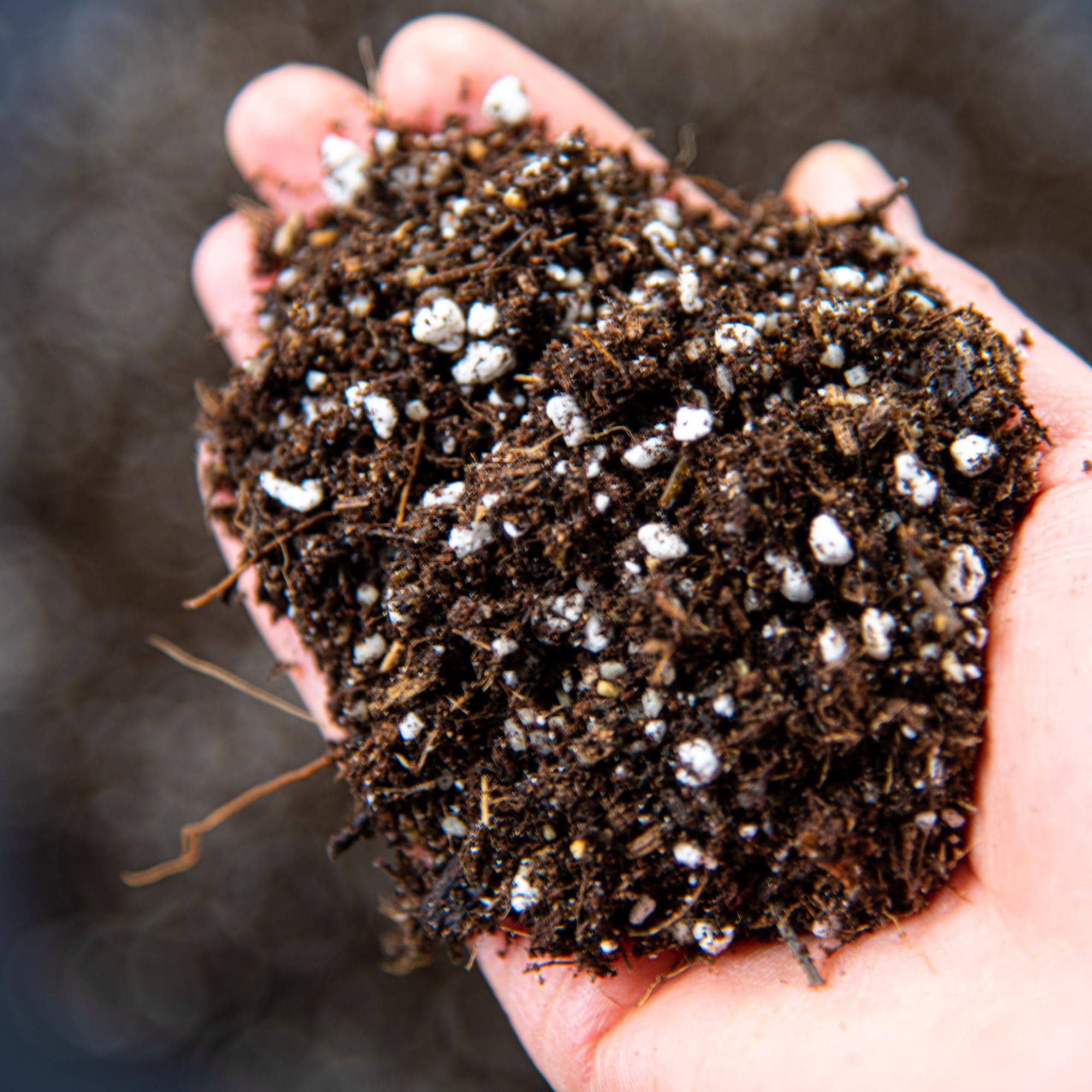 Carnivorous Plant Potting Mix – Premium Venus Flytrap, Pitcher Plant and Sundew Substrate with Perlite, Coco Coir and Leca for Healthy Growth and Strong Root Development (20L)