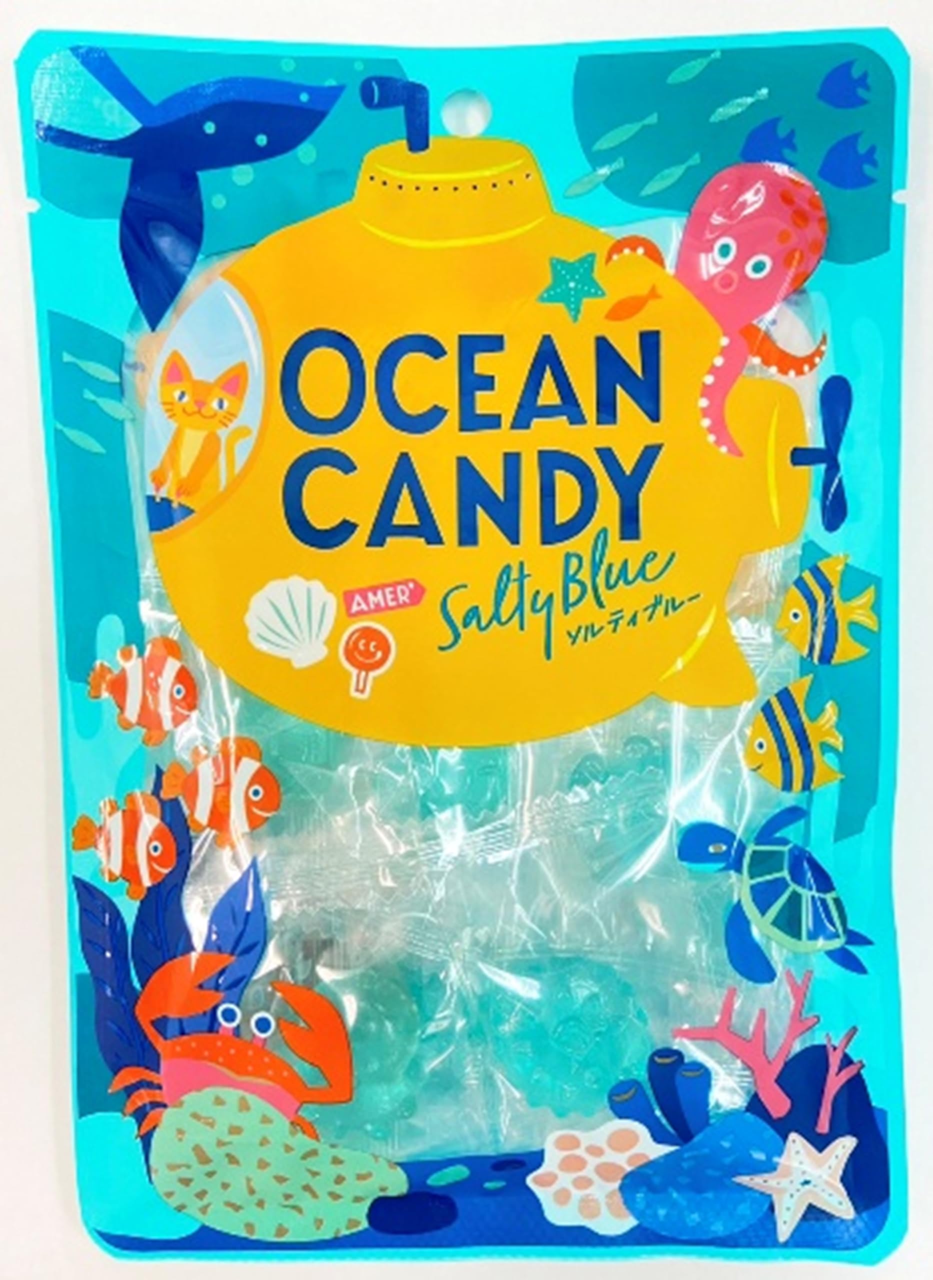 【アウトレット】【525円】 野州たかむら OCEAN CANDY SALTY BLUE 45g×6個