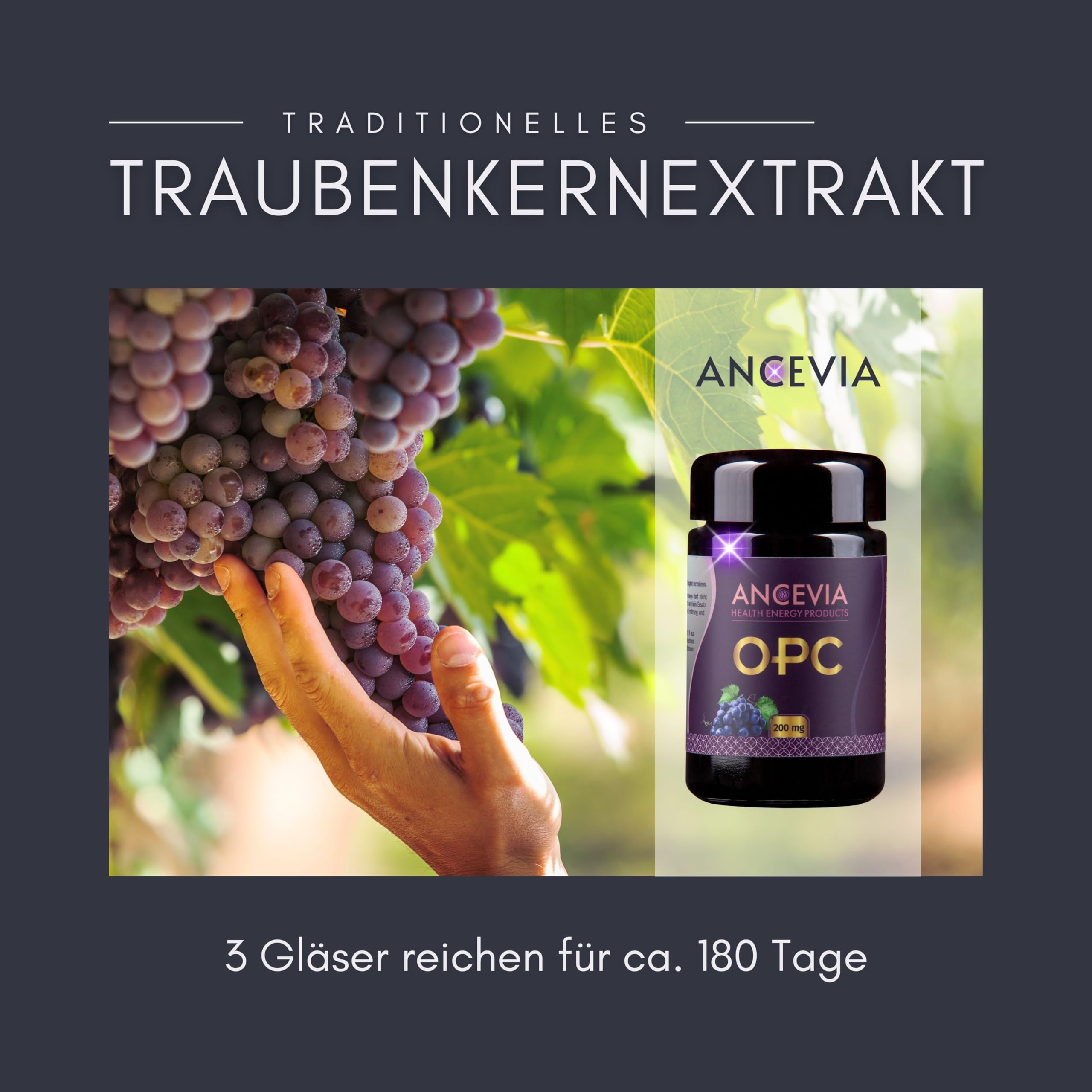 ANCEVIA OPC Traubenkernextrakt – Nahrungsergänzungsmittel – 180 Kapseln (3 x 60) – 200 mg OPC je Kapsel – vegan