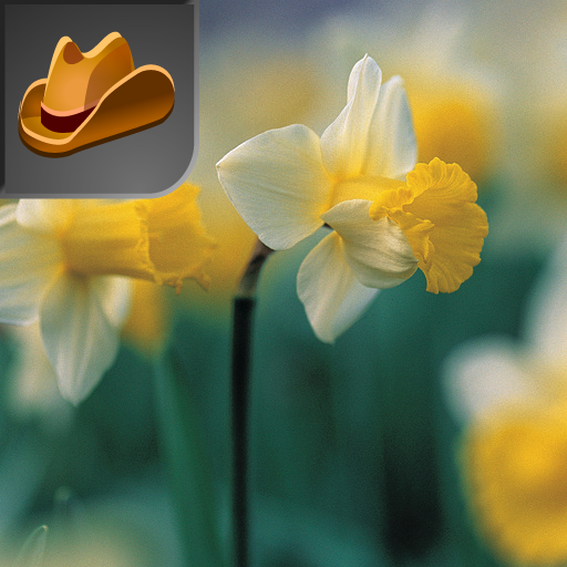 Picture Puzzle New Country Spring for Android