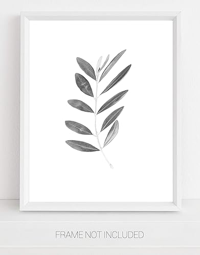 Miniatura 4 de Olive Branch with Leaves Botanical Wall Art Print - 11x14 UNFRAMED, Minimalist Modern Black & White Decor - A Neutral, Contemporary Look for Any Room