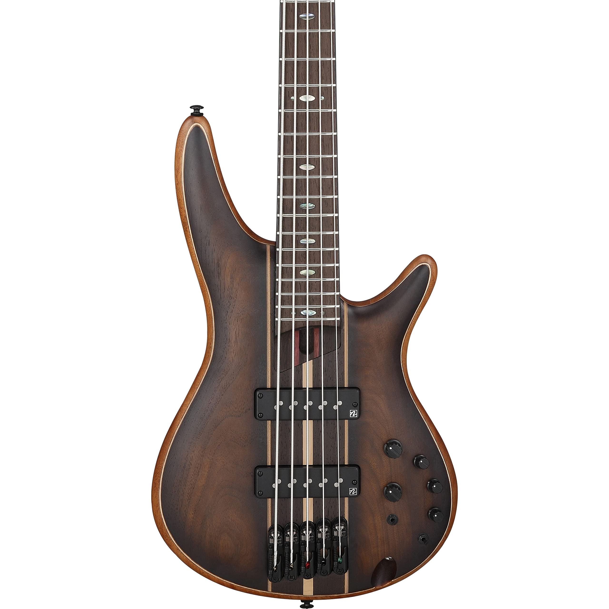 Amazon.com: Ibanez Premium SR1355B 5-string Bass Guitar - Dual
