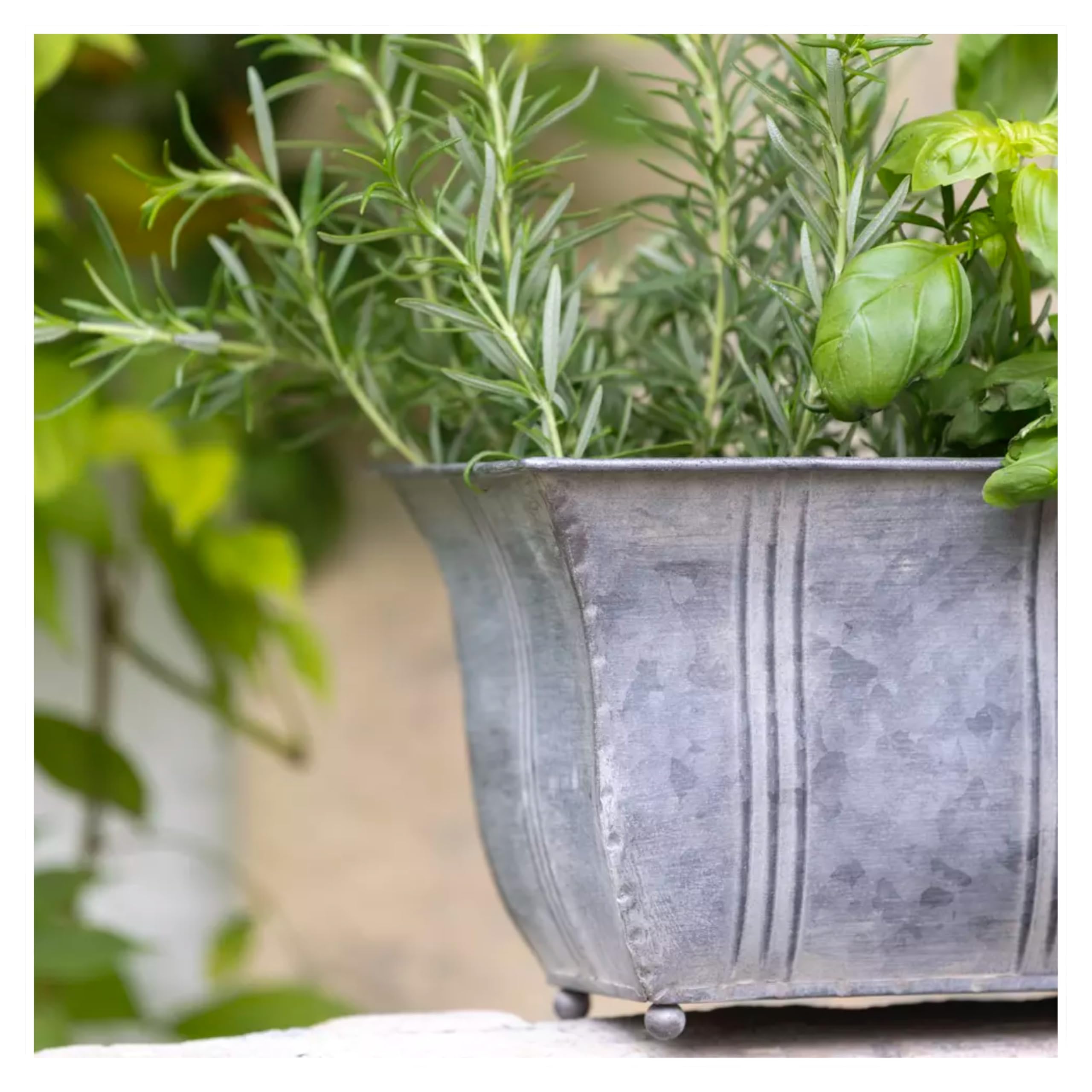 Wholesome Home Grey Galvanised Trough Planter, Rectangular Outdoor Plant Pot, Window Box Planters, Metal (Medium (36.5))