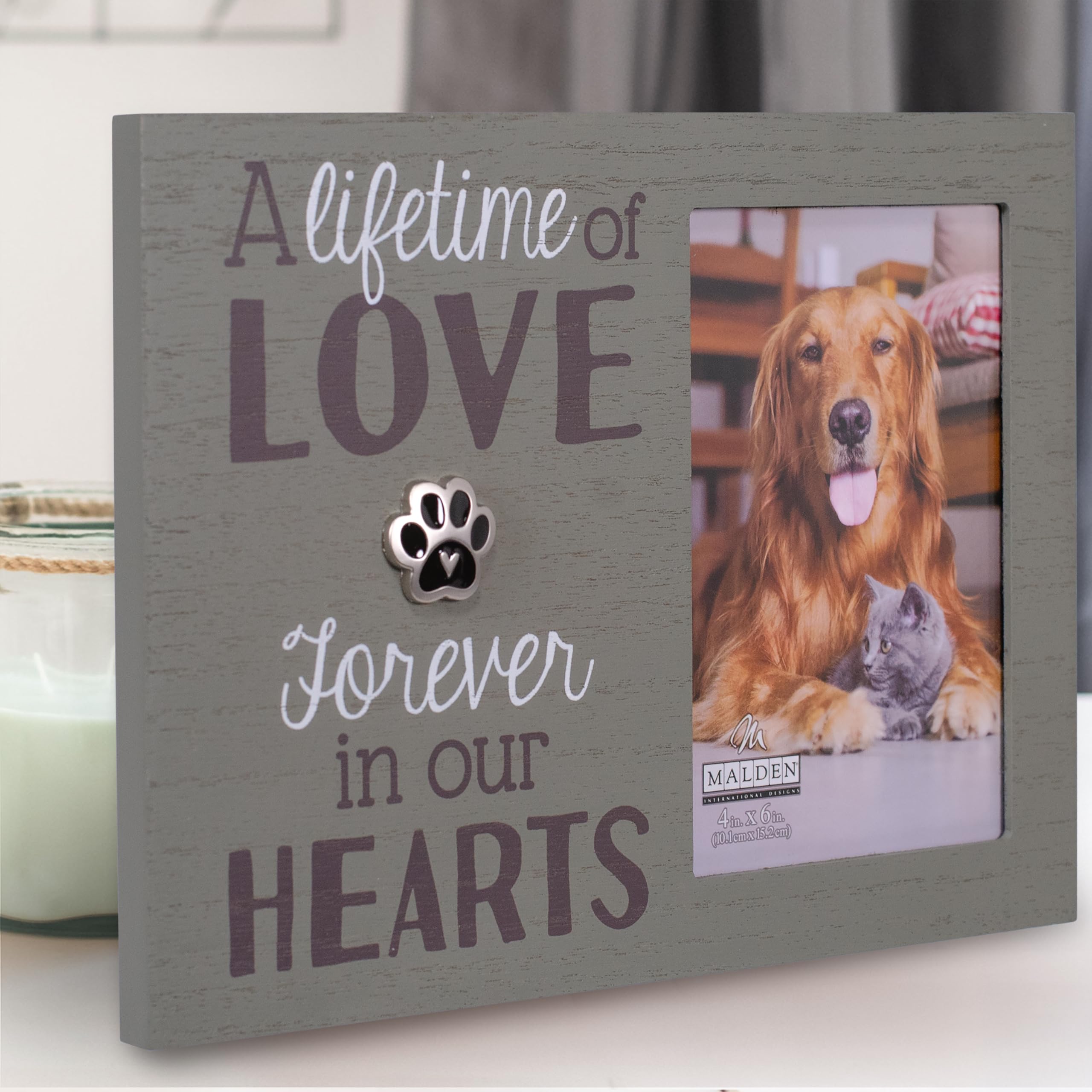 Pet Memorial Picture Frame - A Lifetime of Love -6
