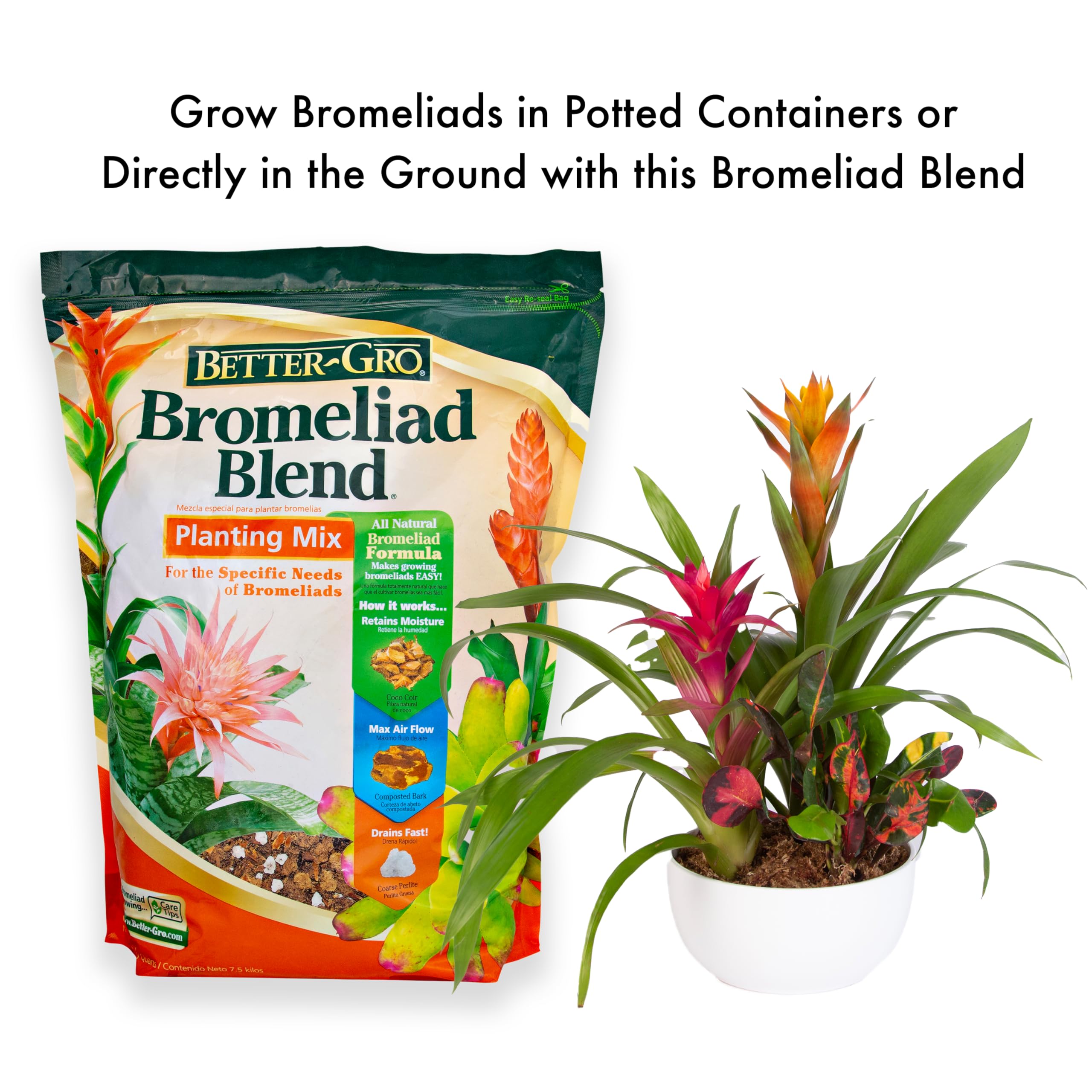 Better-Gro Mezcla de bromelia de 8 Cuartos de galón