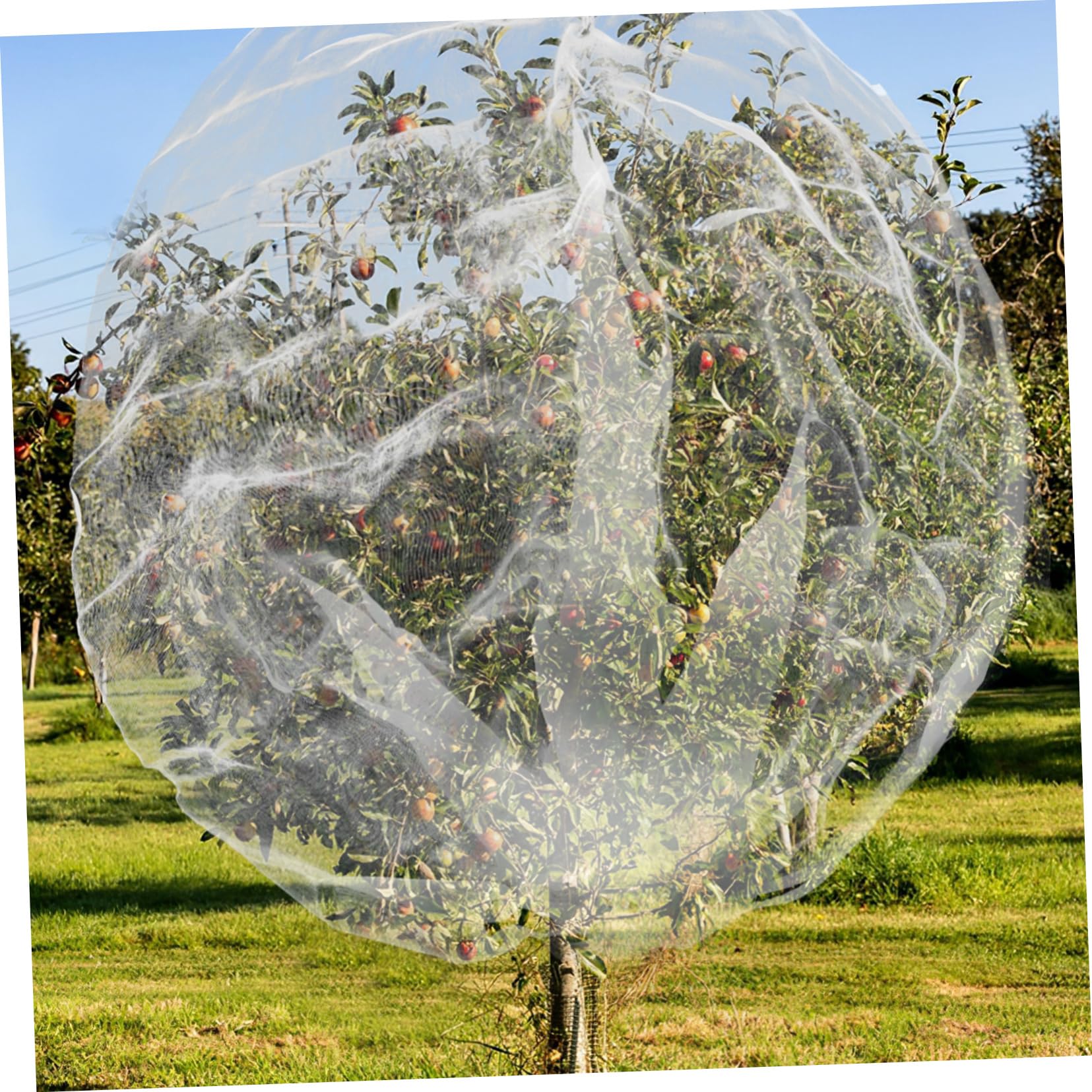 POPETPOP Rete Protettiva per Alberi da Frutto, Sacchetto in Pe Bianco con Coulisse e Cerniera, Barriera Contro Uccelli e Scoiattoli per Giardino