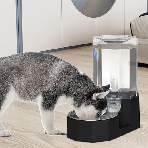 Miniatura 6 de Sfozstra Dispensador de tazón de agua para perros cuenco grande de acero inoxidable de gravedad negra de 7 l, con cepillo especializado, comedero