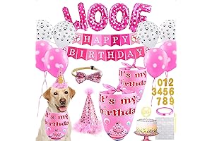 Paw-fect Birthday Bonanza for Your Furry Princess