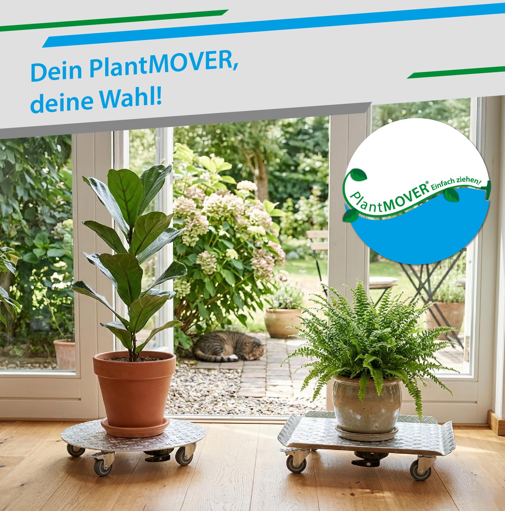 PlantMOVER Pflanzenroller mit Seilzug - 150kg Tragkraft 32,5cm rund - mit robusten Rollen - aus Aluminium-Riffelblech für besten Grip - Rollbrett für Pflanzen - Einfach ziehen Made in Germany