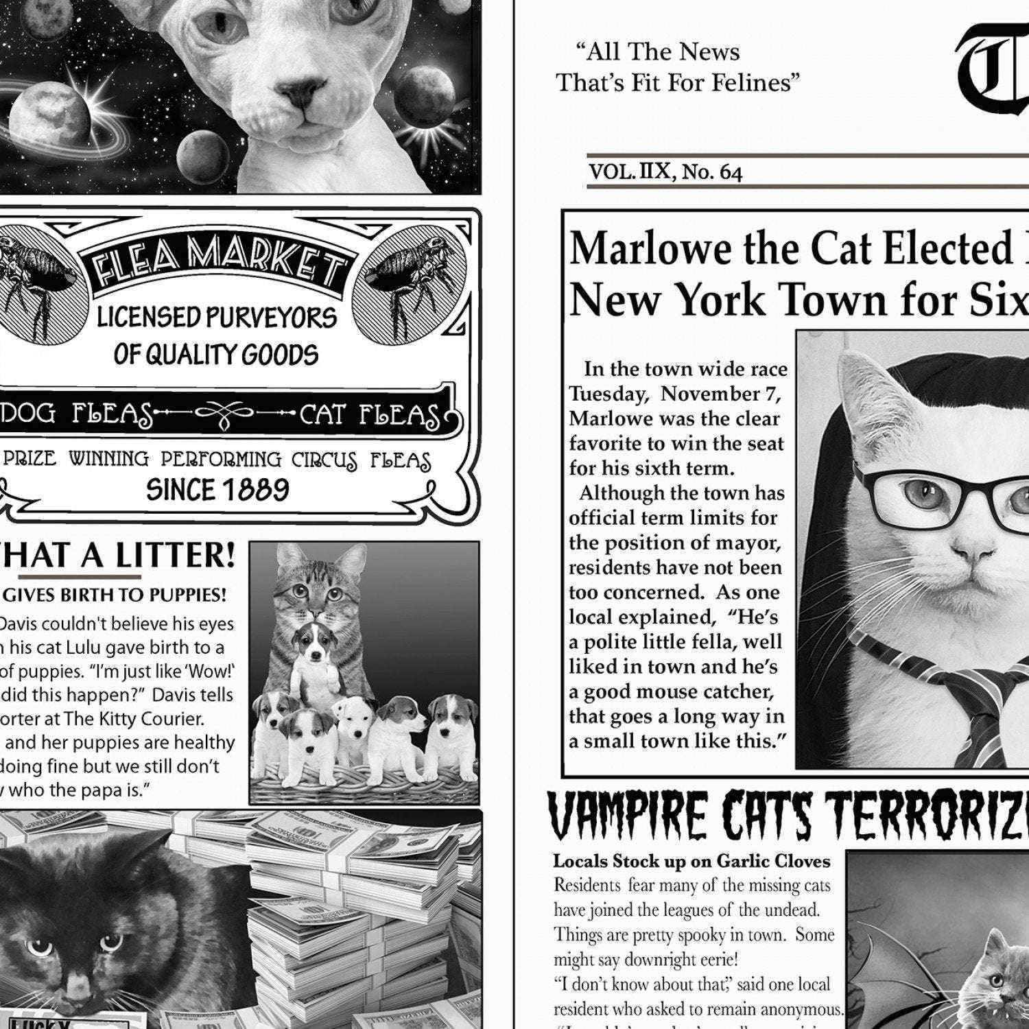 Newsprint Cat Burglar