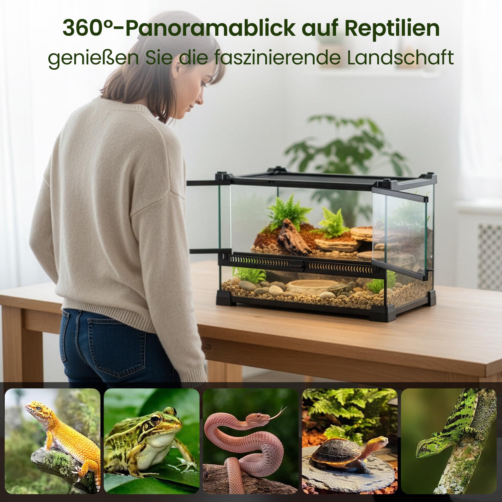 Glas-Reptilien-Terrarium, Insektenzucht-Tank, Vivarium-Lebensraum für Eidechsen, Hornfrösche, Schlangen und Spinnen, Reptilien-Glasterrarium für Amphibien (Horizontal)