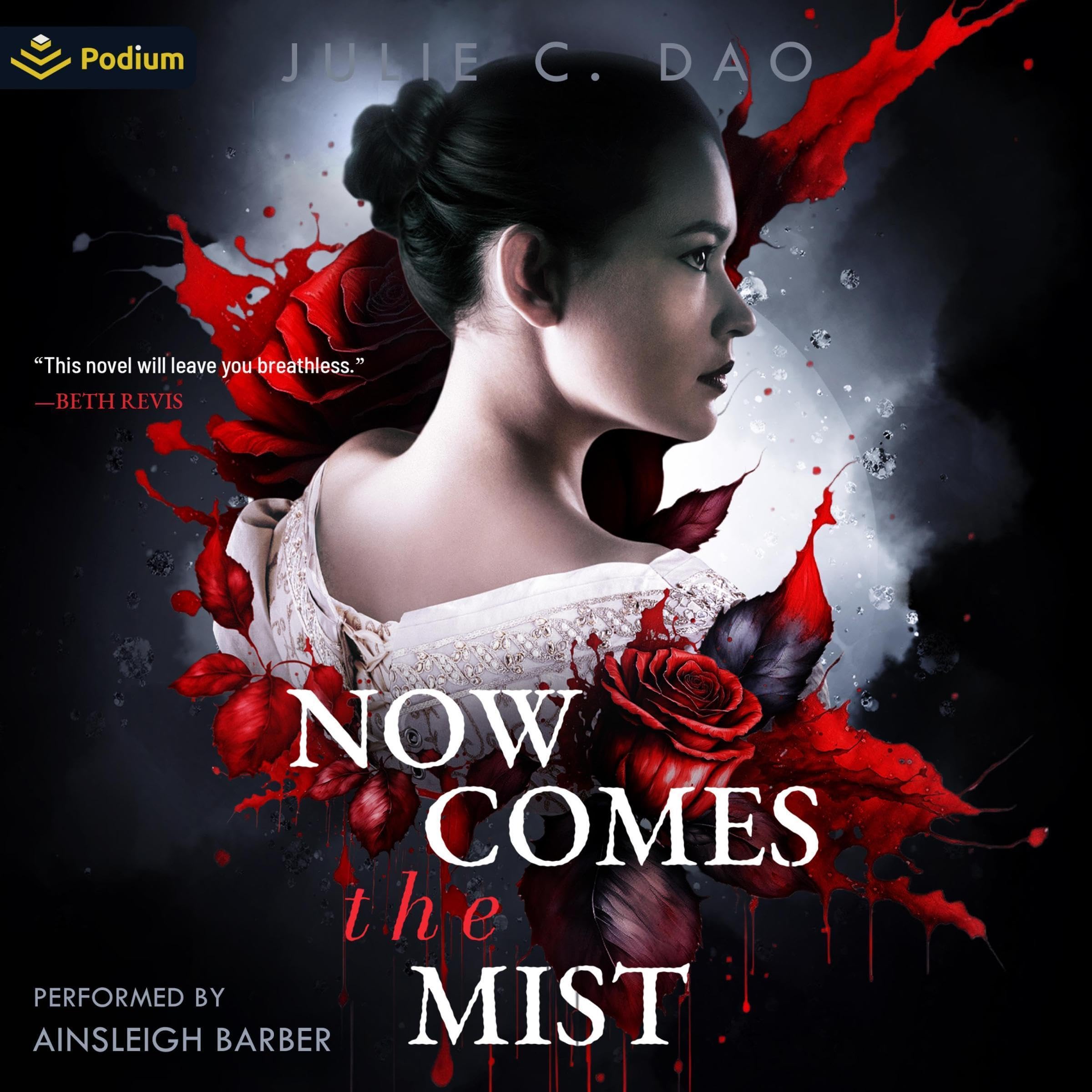 Cover art for Now Comes the Mist: A Tale of Romantic Gothic Horror