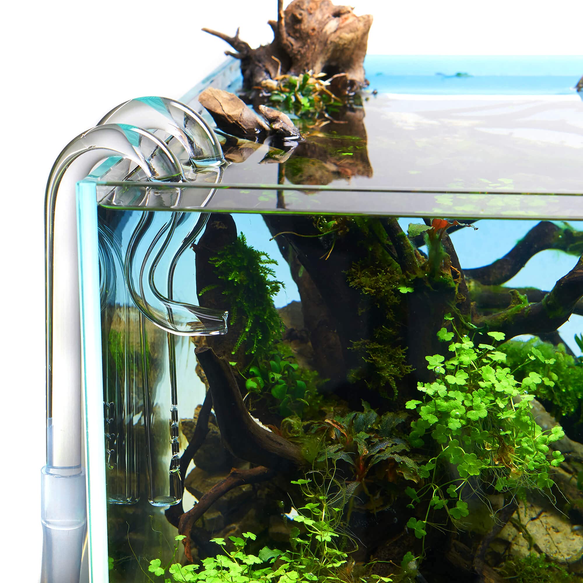 Jet Pipe Inflow-Outflow Set - Aquarium Filtereinlauf Filterauslauf (13mm für 12/16mm Schlauch, Outflow ohne Saugnapf)