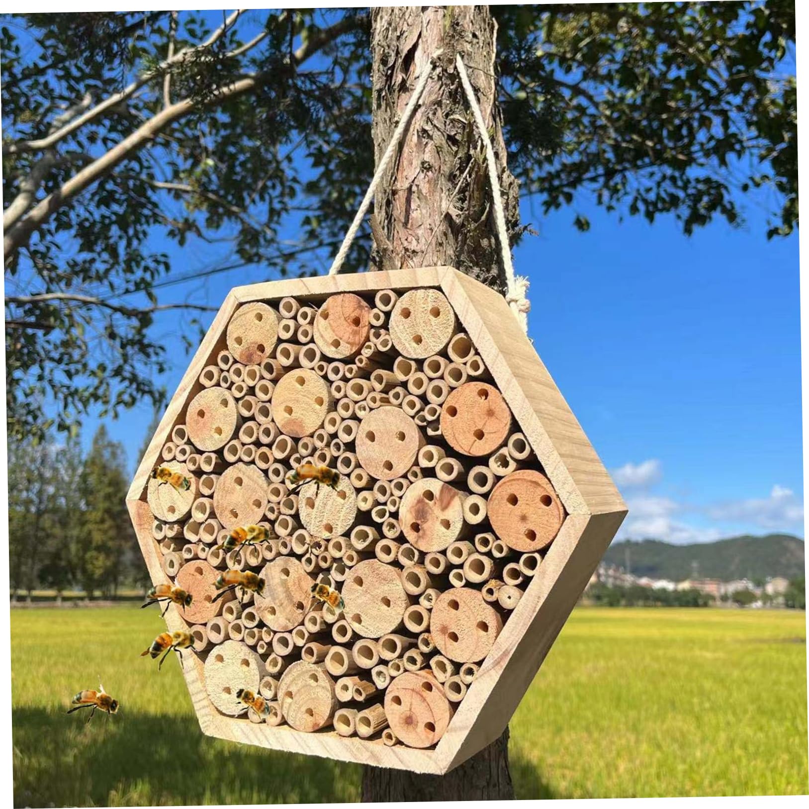Mason Bee House - Casetta esagonale in legno per giardino, hotel naturale con corda per appenderla, muratore per esterni per attirare impollinatori, hotel e giardino