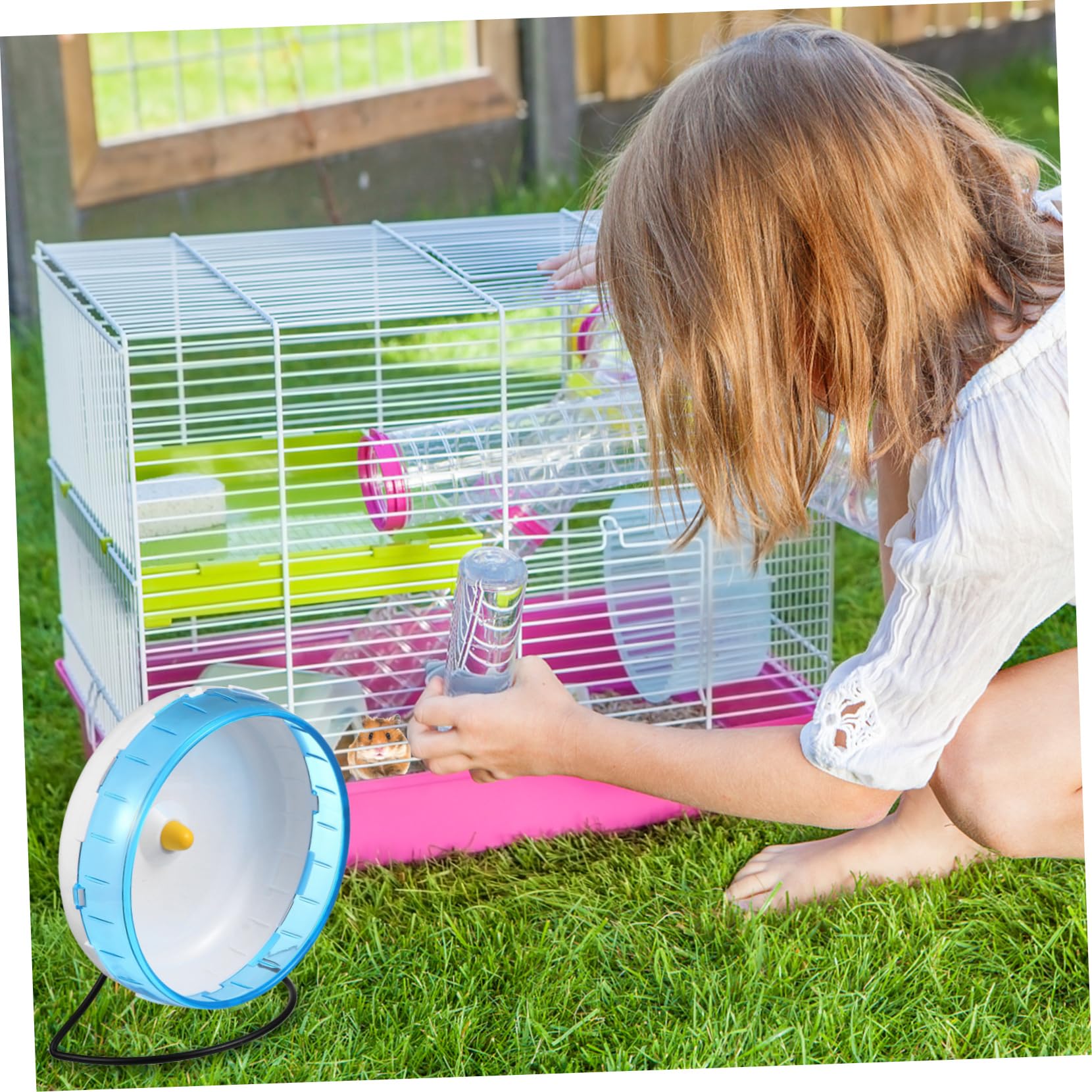 Hamsterlaufrad Leises Laufrad für Kleintiere, Blau