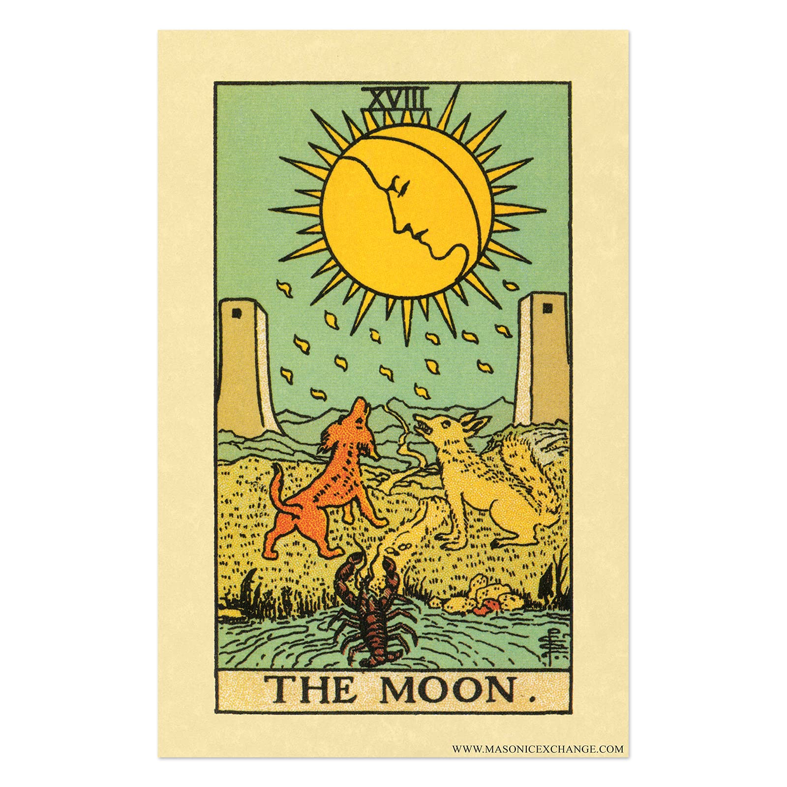 The Moon  The Moon