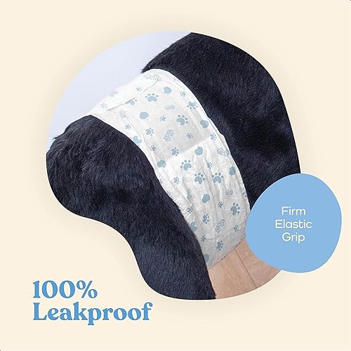 Miniatura 9 de Pañales cómodos para perros machos, paquete de 12 envolturas desechables súper absorbentes para perros machos, tecnología FlashDry Gel con indicador