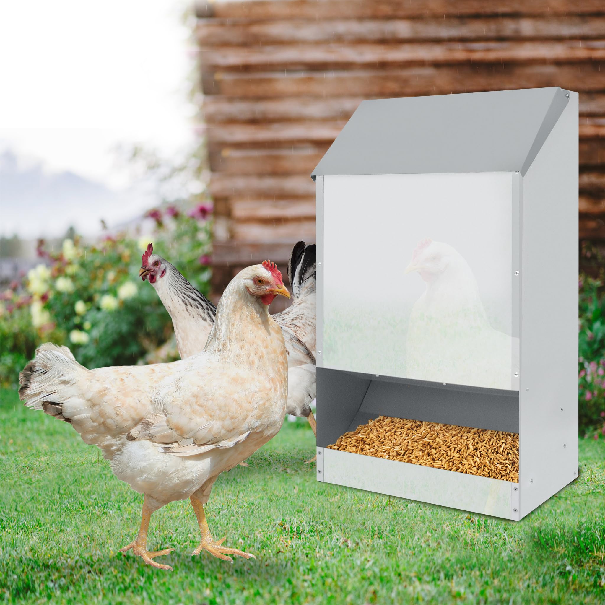 Mangiatoia XL Per Polli Dispenser Automatico Con Pedale In Acciaio 5 Kg 91598034 - Foto 8