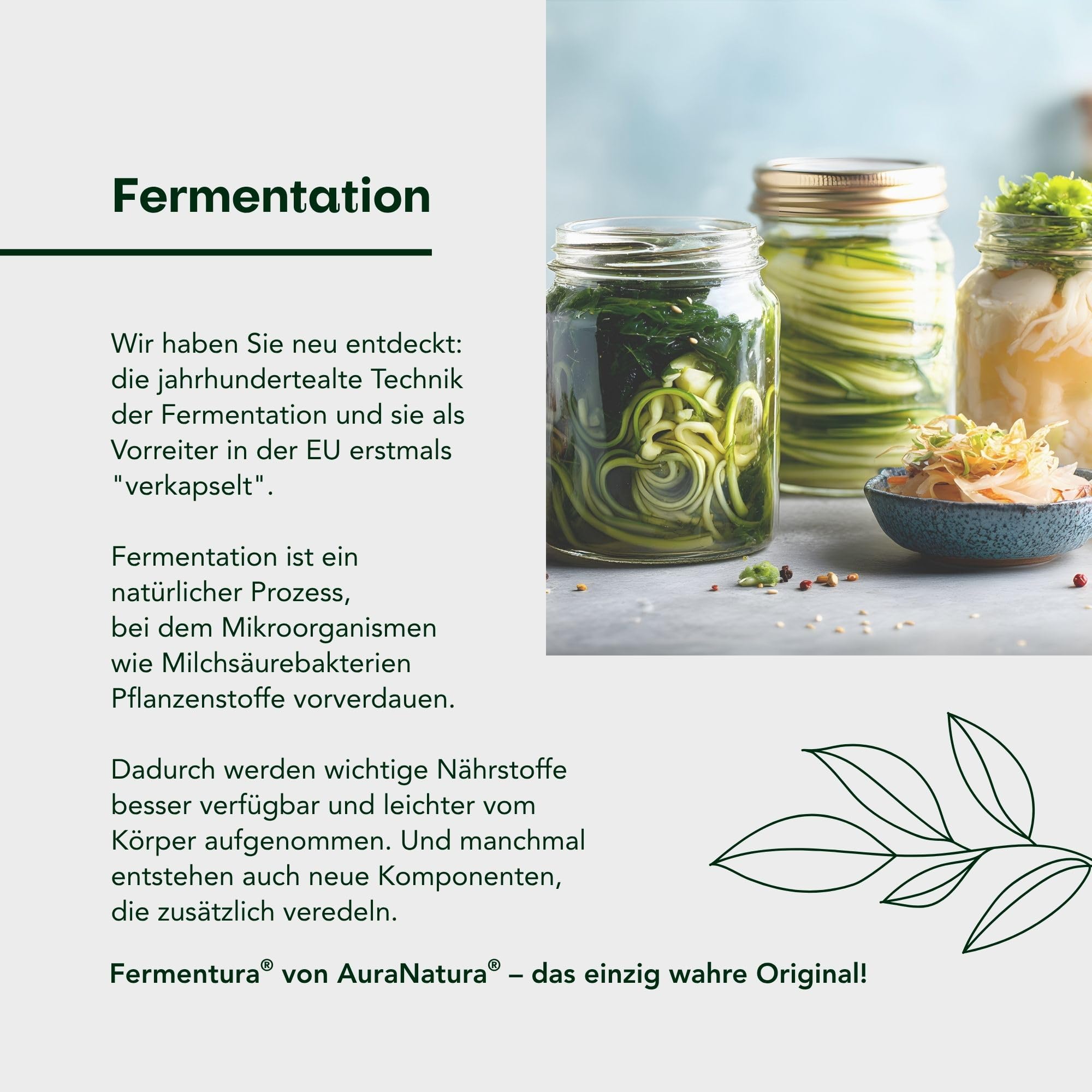 Fermentura® CURCUMA DUO | Hochdosierte Kurkuma-Kapseln mit fermentiertem Curcuma-Granulat | Mit Selen & Phosphatidylserin | 30 vegane Kurkuma-Kapseln ohne Zusätze
