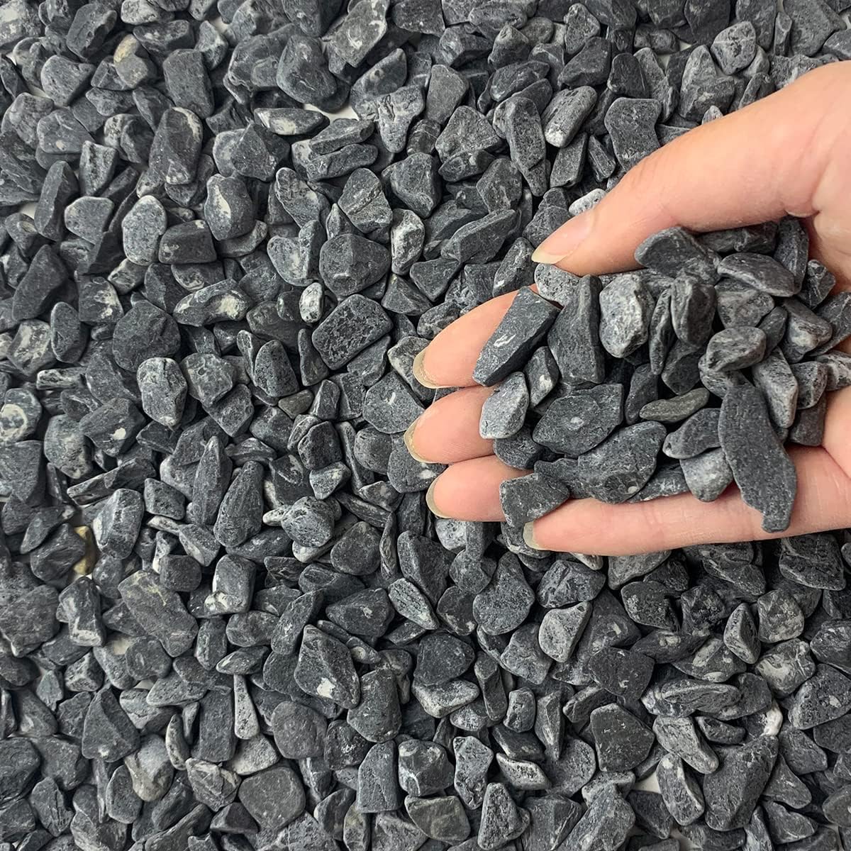 Bum Bum Bhole 2kg Tumbled Gravel-Stone Black chips Garden, Landscape and Decorative Natural Gravel Stones - 7 mm - 10 mm (B0CLZP7CT2) Amazon Price History, Amazon Price Tracker