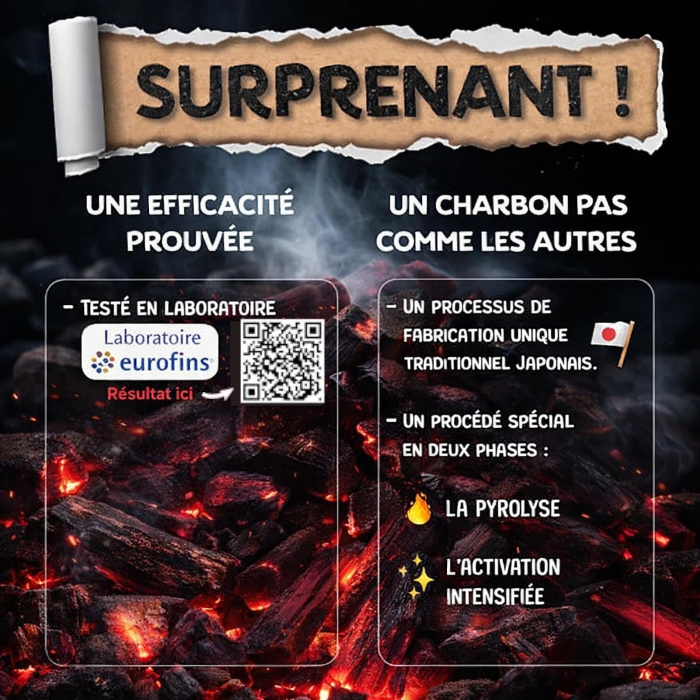 BAYTIZ ® Filtre à Eau Végétal au Charbon Actif - Baton de Binchotan Bio x5 - Purifier l' Eau du Robinet - en Bois Naturel - Carafe Bouteille - Vrai Purificateur Verre Filtrante Écologique Filtres