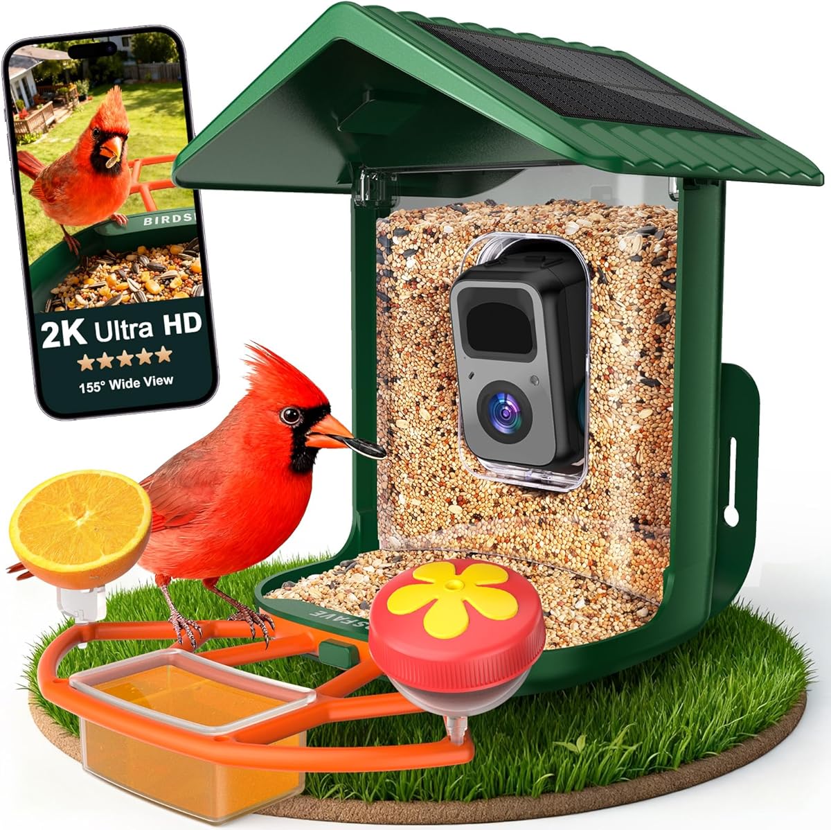 BIRDSFAVE-Bird Feeder with Camera Solar Powered, 2K Clear Live/Video/Photo Auto Arrival Alerts AI Identify Smart Cameras Birds Feeders with 32GB Card DIY Add-ons, 2.4G WiFi Wireless Birdwatching Gift