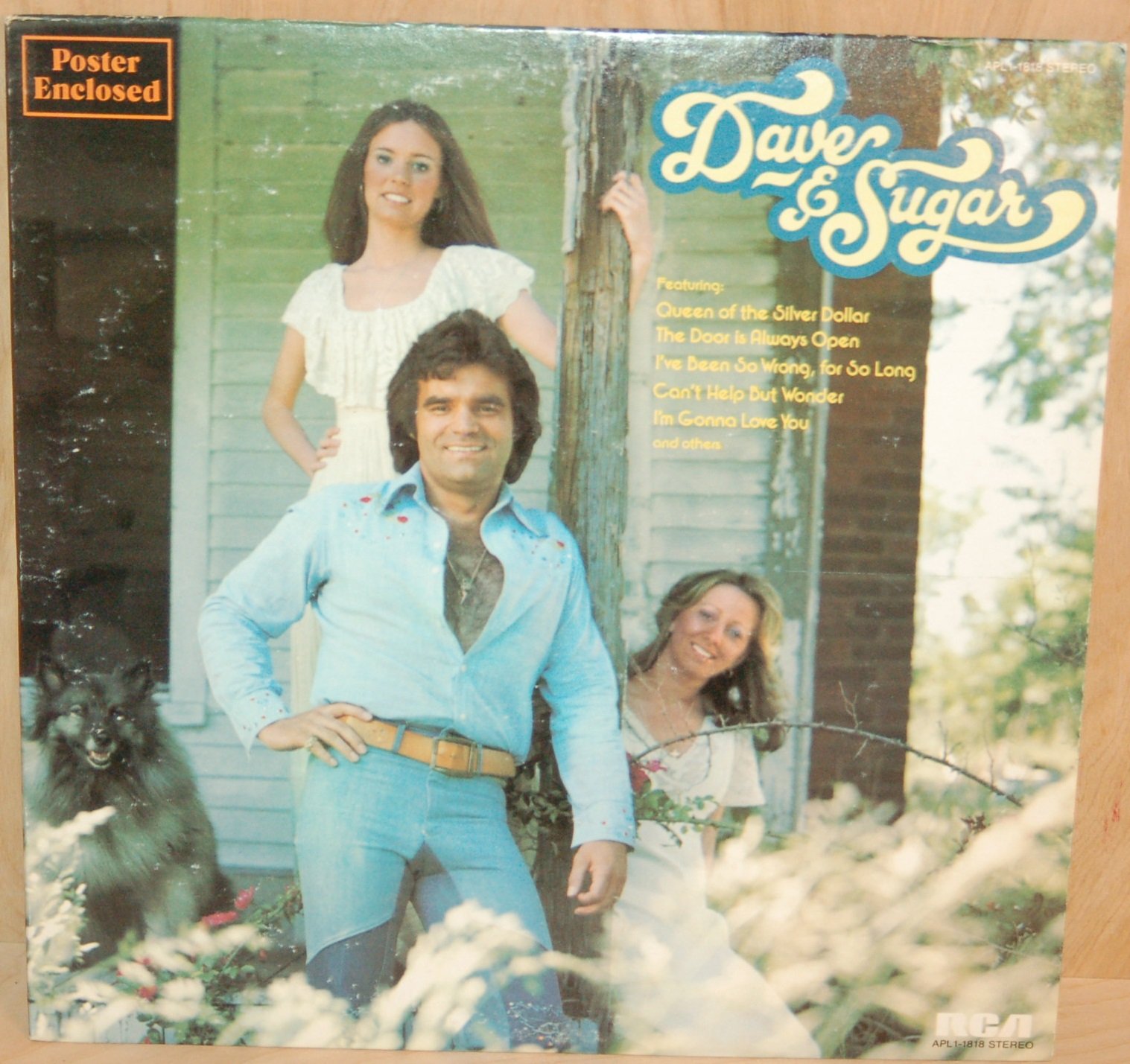 Amazon.com: Dave & Sugar