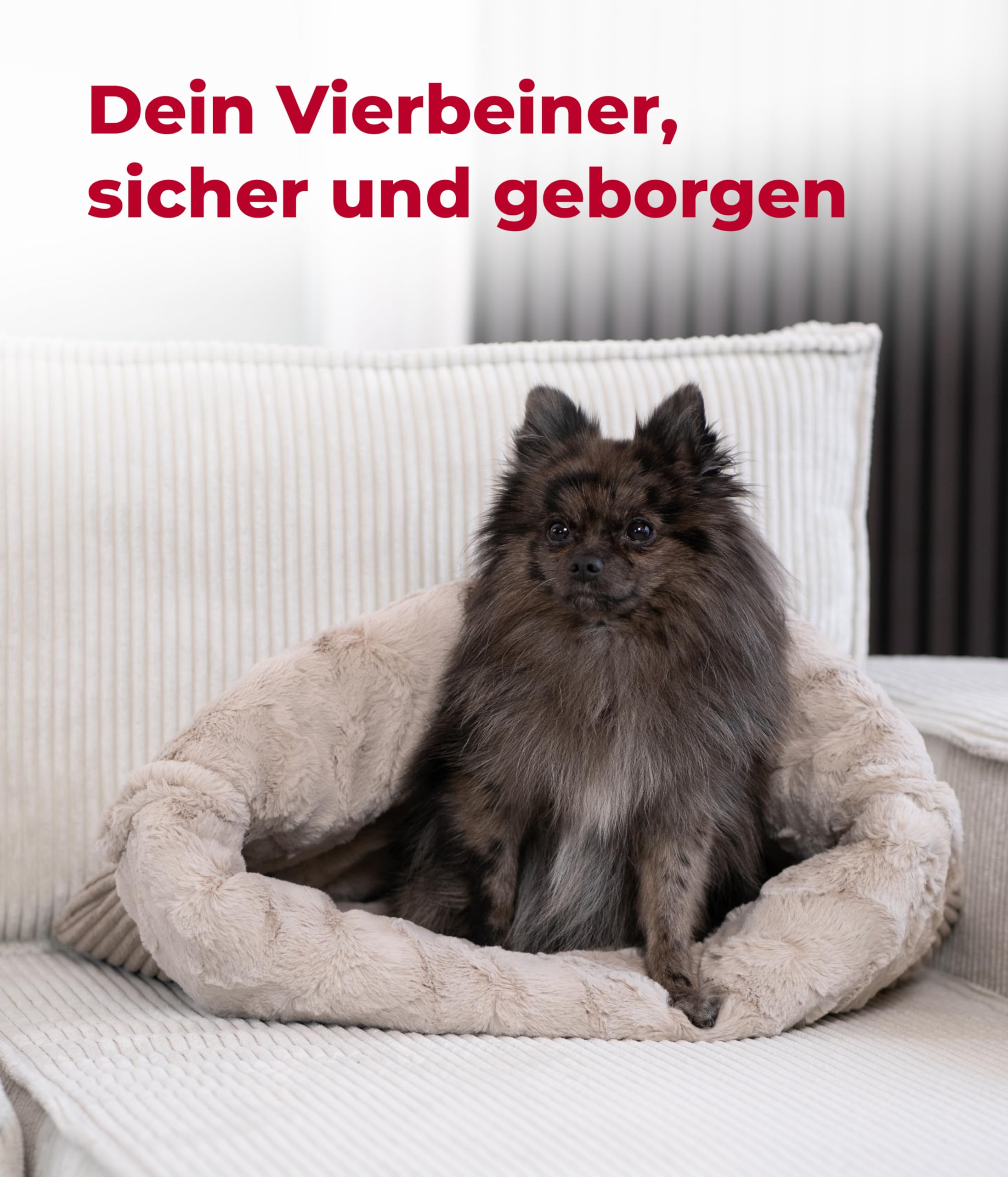 Schlupfsack Cord-Exklusiv – Vielseitige Kuschelhöhle für Hunde und Katzen – Waschbar – Made in DE (Beige/Sand, 65x90 cm)