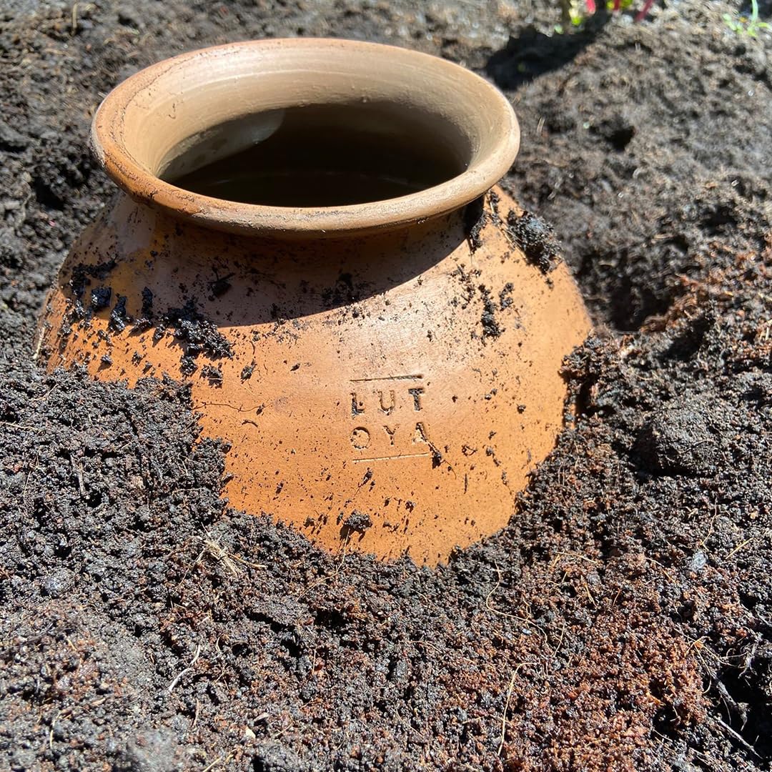 Pack de 3 poteries d'irrigation 5L pour jardins | Olla Artisanal Fait-Main 100% céramique| Diffuseur d'eau Autonome | Irrigation Lente | Facile, résistant et Efficace | Non émaillé Céramique
