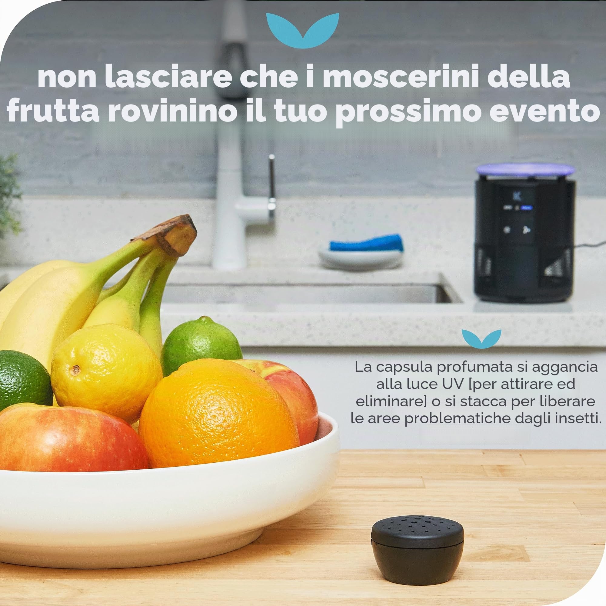 Katchy Duo – Trappola per mosche da interni con capsula profumata, efficace giorno e notte, per zanzare, moscerini della frutta, moscerini e piccole tarme – Trappola anti-insetti con luce UV e ventosa
