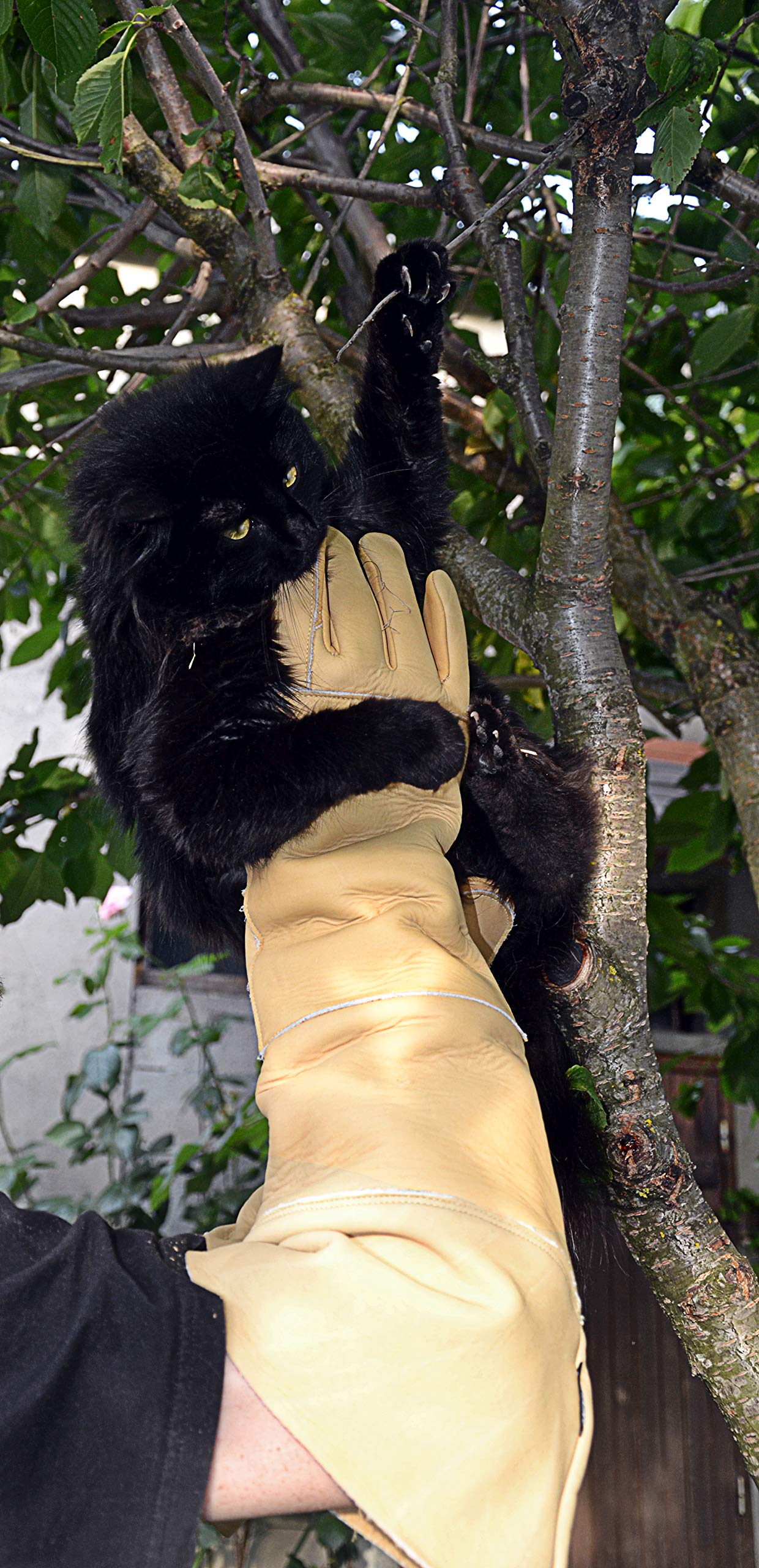 Gants de protection anti-griffure pour manipuler les animaux Rostaing