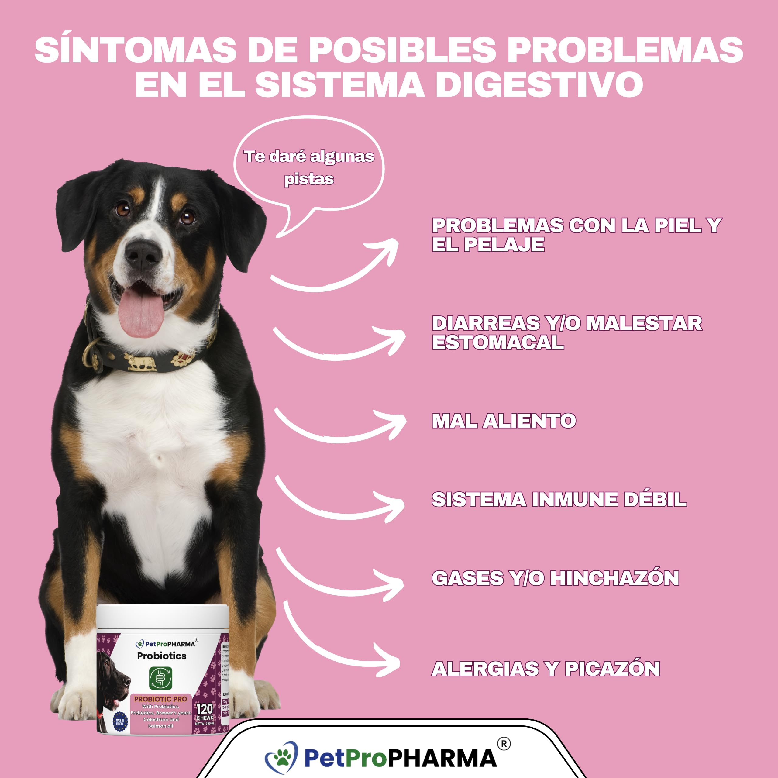 Probioticos y Prebioticos para Perros y Gatos Complemento alimenticio para Soporte digestivo y Refuerzo inmunológico Pastillas Masticables Absorcion Nutrientes y Flora intestinal 120 Galletas