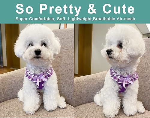 Miniatura 3 de Arnés para perro de malla suave mejorado, súper transpirable, ligero, arnés para mascotas, para cachorros, perros al aire libre, arnés morado, grande