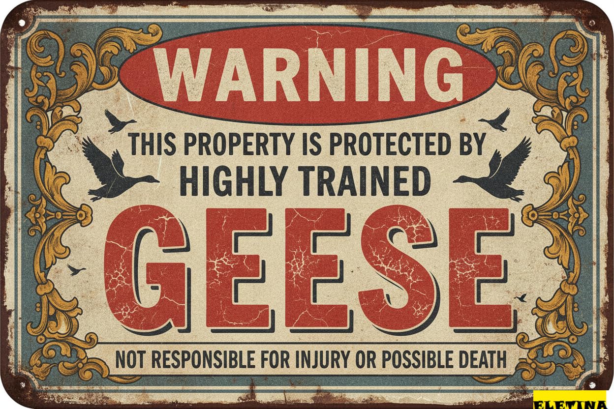 Personalized Sign for Man Cave Funny Goose Warning Goose Coop Decor Goose Lover Gift Barn Farm Decor 8x12 Inchse Private Property Decorative
