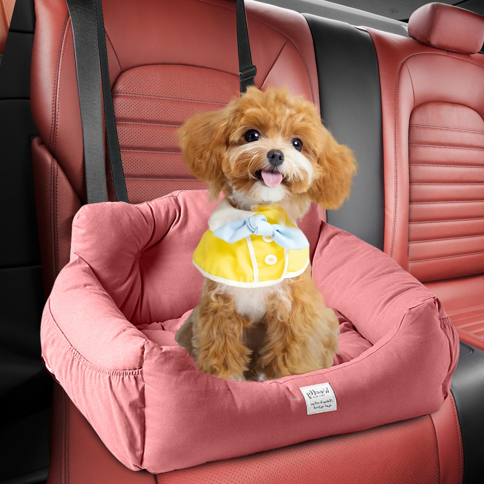 Seggiolino Auto Per Cani Piccoli Fino A 10kg - Lavabile Con Cintura Di Sicurezza