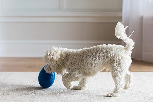 Miniatura 5 de JW MEGA Huevos pequeños