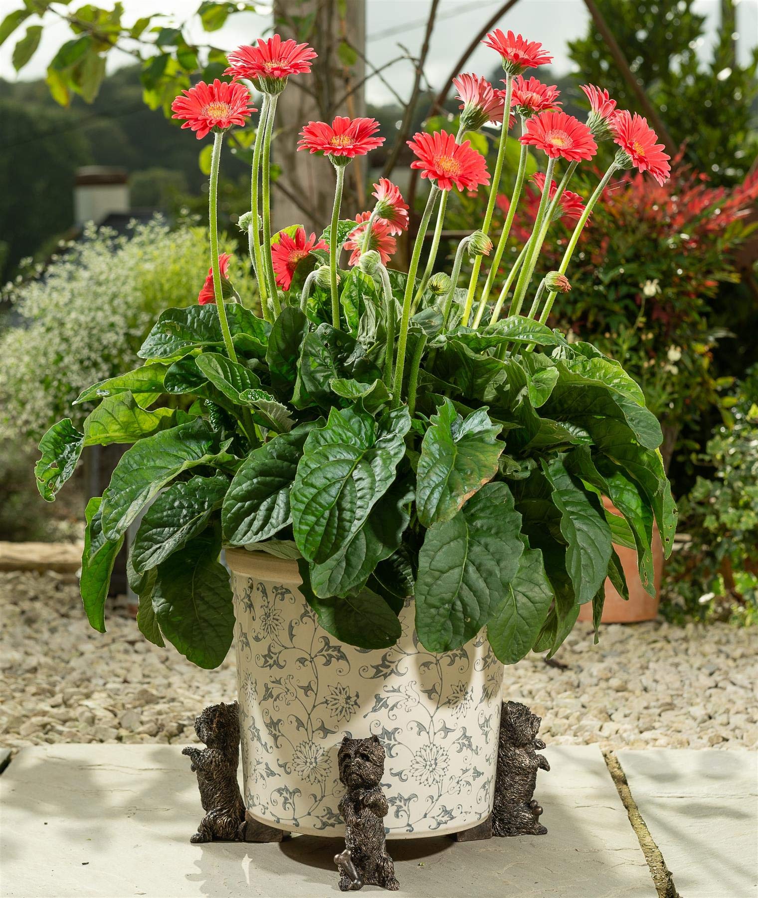 Potty Feet Hedgehog Figures Plant Pot Feet - Planter Support - Handmade Decorative Ornaments - 3pcs — view 87