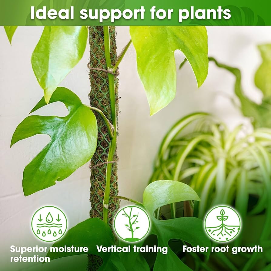 Amazon.com : DUSPRO 42'' Mesh Moss Pole for Climbing Plants