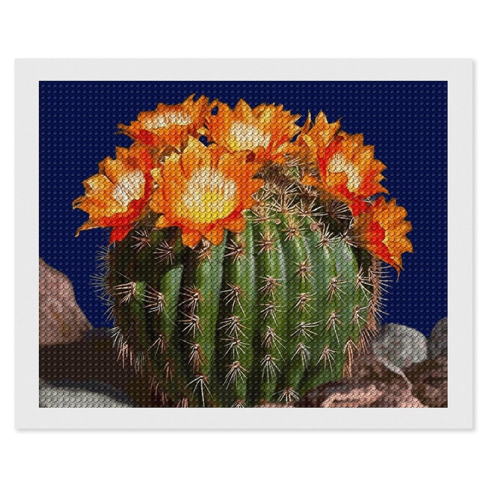 Diamond Painting Kits for Adults - DIY Diamond Art Kits for Beginners - Full 5D Paint Drill Diamond Dots Paintings- Blooming Barrel Cactus Diamonds Pictures Gem Art And Craft Wall Decor 16"x20"