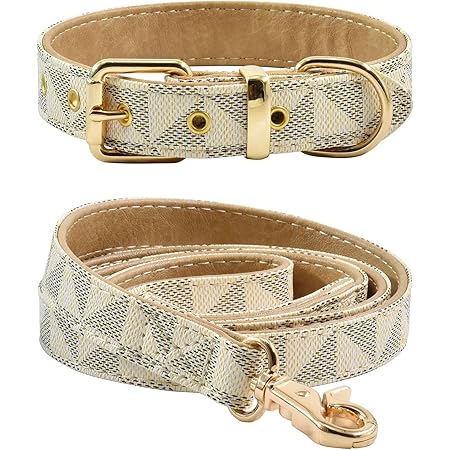 coach dog collar