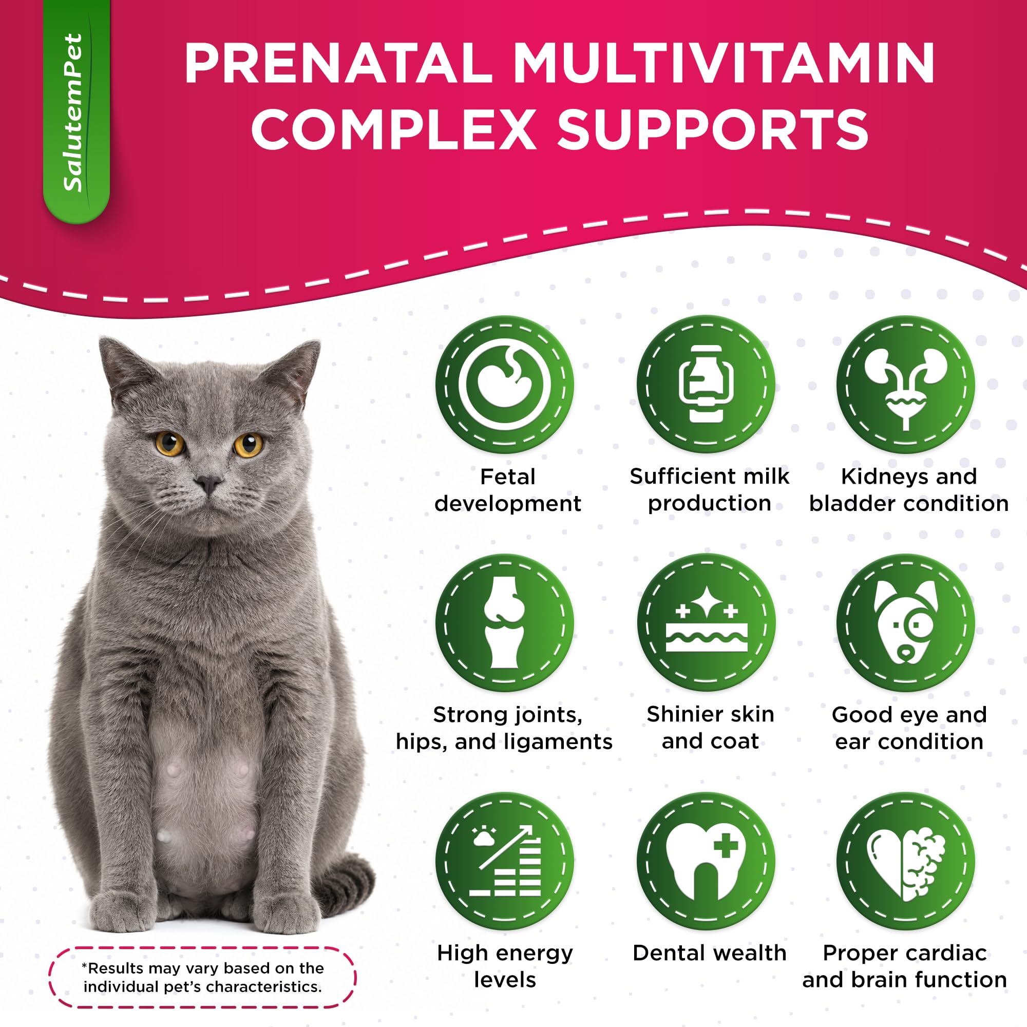 Dog Prenatal Vitamins for Moms During Lactating – Prenatal Vitamins for Dogs & Cats of All Breeds to Care for Pet Development – Multivitamin for Cats – 2 Oz – Herbal Supplement for Pets — Amazon image 2