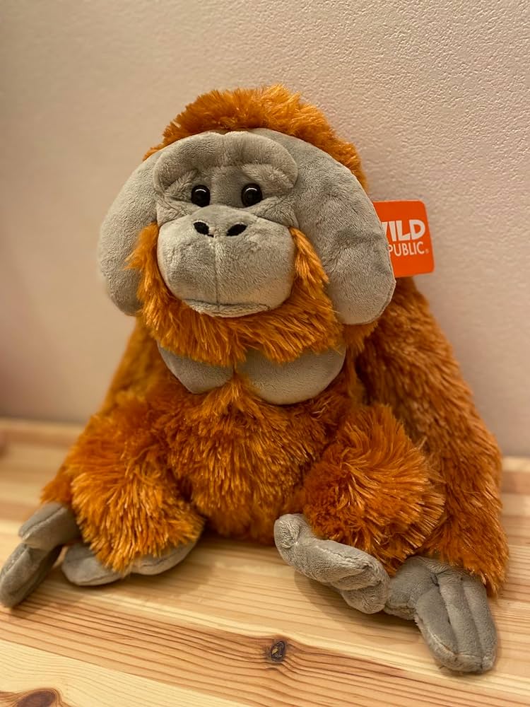 どんぐりアート　オラ うーたんページ 71b2UVDlPUL._UF350,350_QL50_.jpg