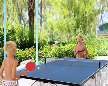 9FT Full Size Folding Table Tennis Table - Quick 10-Min Assembly, Portable Ping Pong Table Net Set for Indoor/Outdoor, Home Office Garden Games
