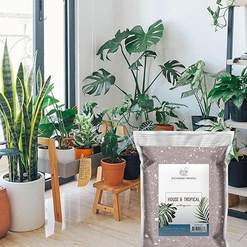 Miniatura 40 de Suelo de árbol del dinero (4 cuartos de galón), mezcla para macetas para plantar/trasplantar Pachira Aquatica, mezcla de suelo personalizada