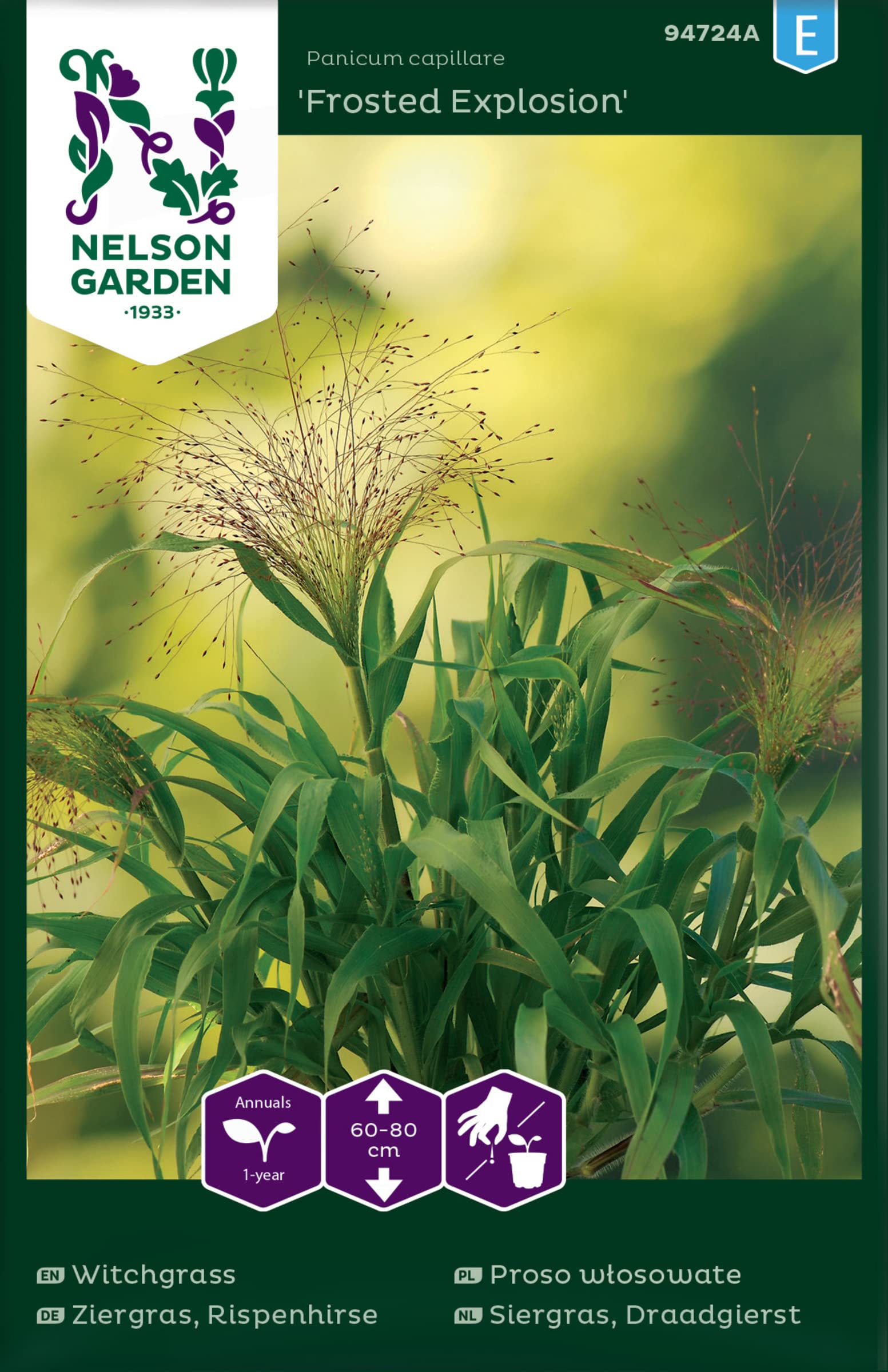 Ziergras Rispenhirse Samen - Frosted Explosion - Nelson Garden Blumensamen  - Rispenhirse Saatgut (20 Stck) : Amazon.de: Garten